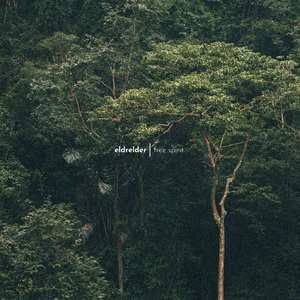 啊灬啊别停灬用力小建
