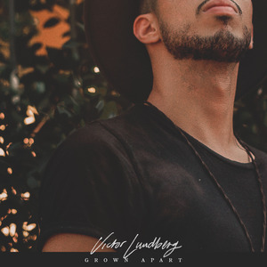 黑人40厘米全部进去A片
