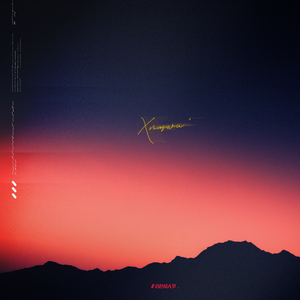 美女无遮掩日本网站
