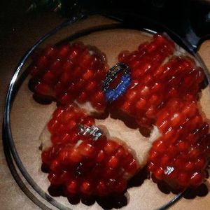 女性自慰✅免费网站冰块
