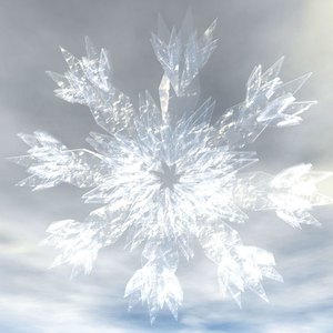 美女无遮掩日本网站
