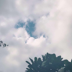 黑人40厘米全部进去A片
