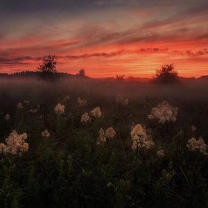 精品熟女成人网站
