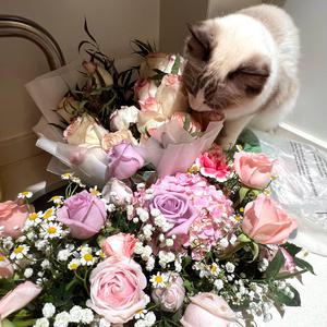 男人茎进女人阳道视频
