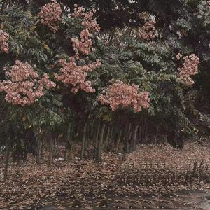 深喉凸出拳交极限
