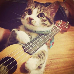 精品熟女成人网站
