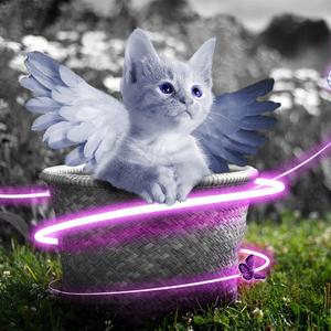 目黑惠AV在线播放免费
